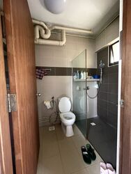 Blk 296C Choa Chu Kang Avenue 2 (Choa Chu Kang), HDB Executive #390206211